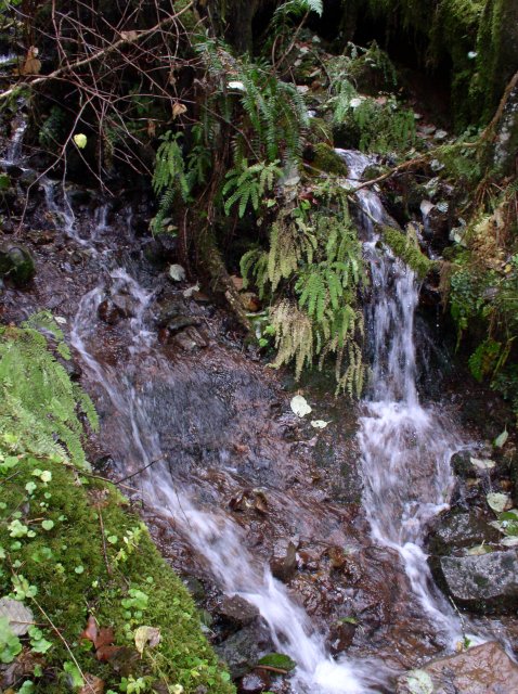 Waukeena Mult Falls 11.26.05 047 